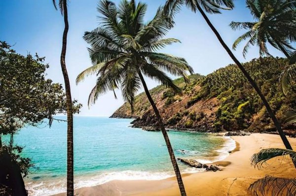 FB IMG 1586842493967