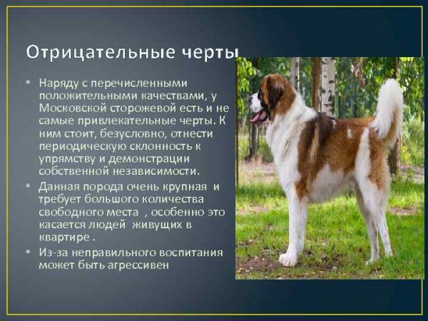 Московская сторожевая