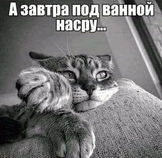Обидели )
