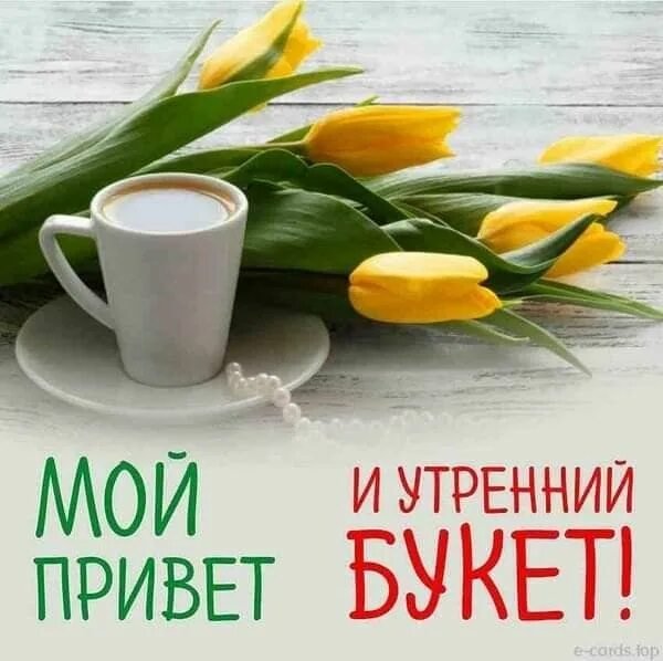 Друзья мои!