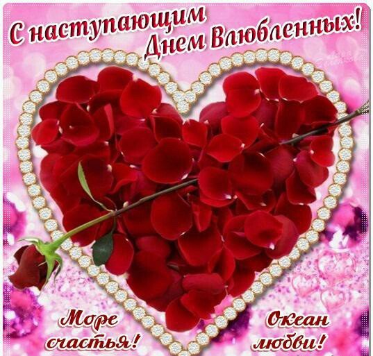 IMG 20160213 WA0042-wap sasisa ru