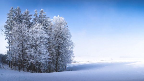 Zima les pole 1333617 1600x900