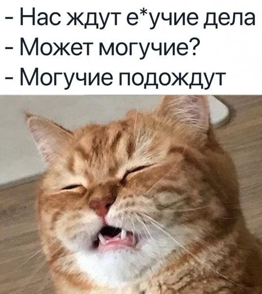 Опаньки!