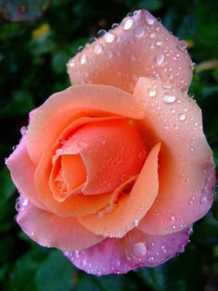 09-29-57-203025480 4076089189149473 4978195410678796169 n