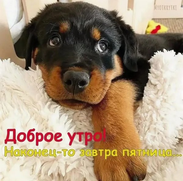 Доброе утро!