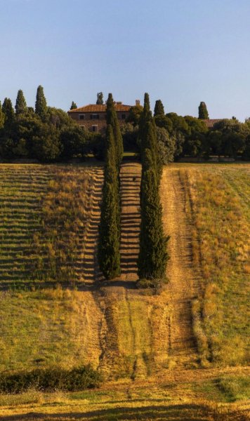 Screenshot 20260326-141805 One UI Home