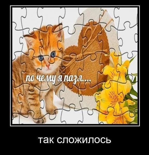 pics