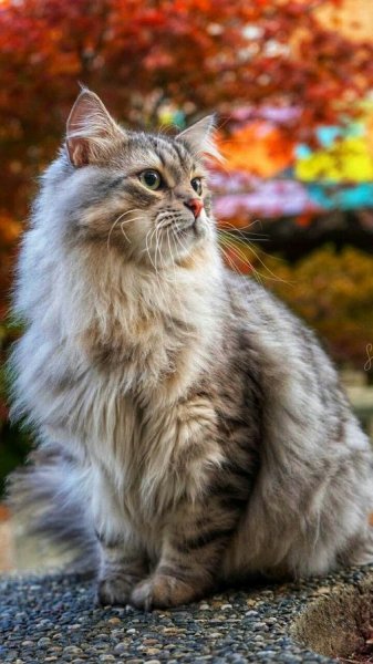 F77202fe944fd2ec551f07fb17f9e88d