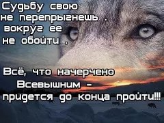 image(275)