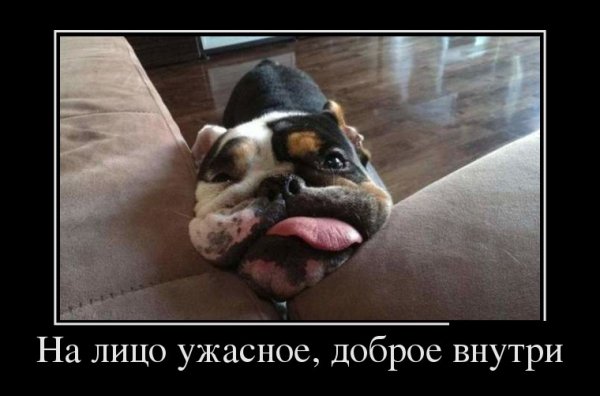 На лицо ужасное
