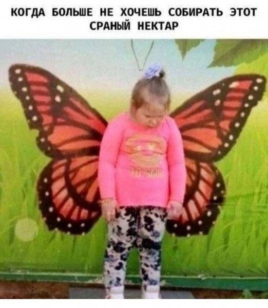 picture_412389400