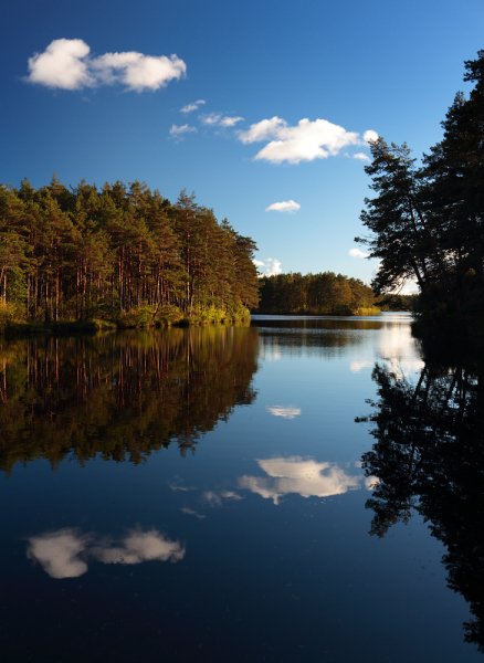 Затаив дыхание