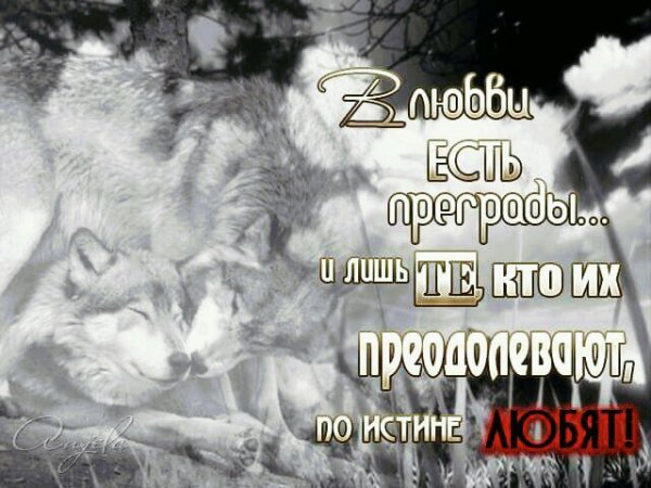 любовь 092970