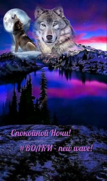 d62ad7f72c9b834daa7f4d90431aa