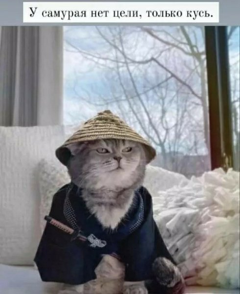 Самурай )