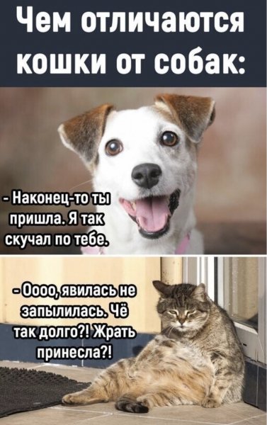Такое дело!