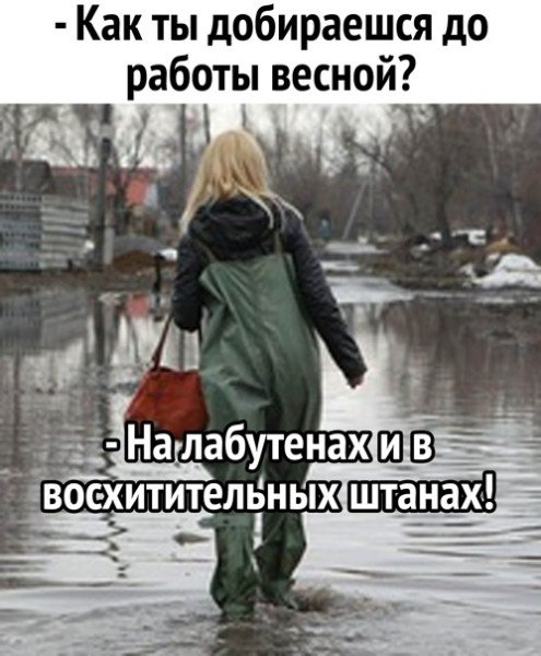 picture_291476096