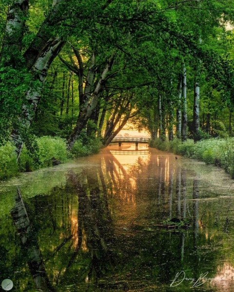 09-38-15-195800188 1671905362996000 1042271510771459458 n