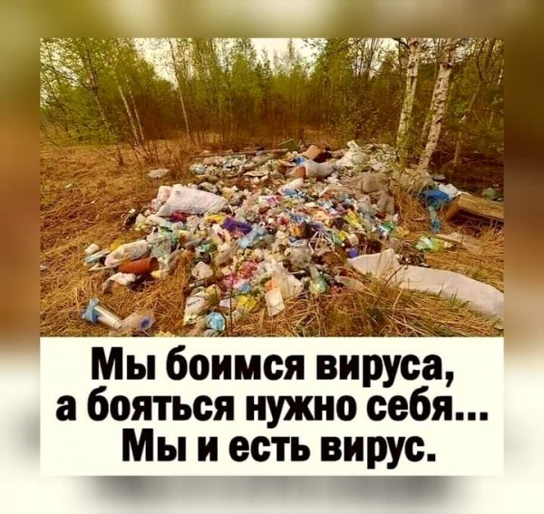 FB IMG 1612493190569