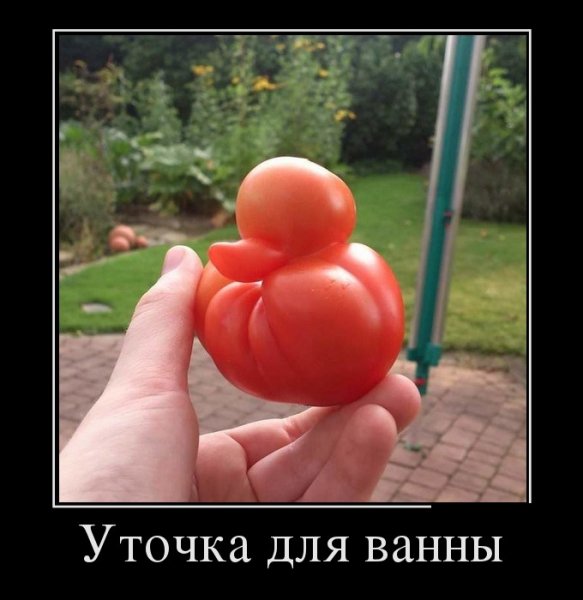 Уточка