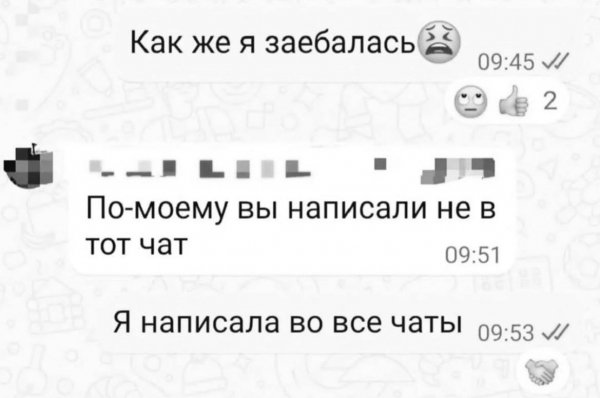 IMG 20260528 494
