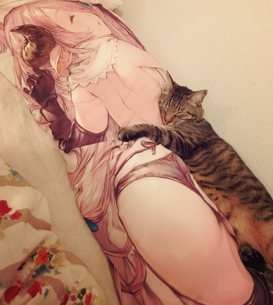 Anime-разное-дакимакура-4176293