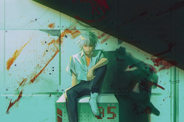 kaworunaisa-lc