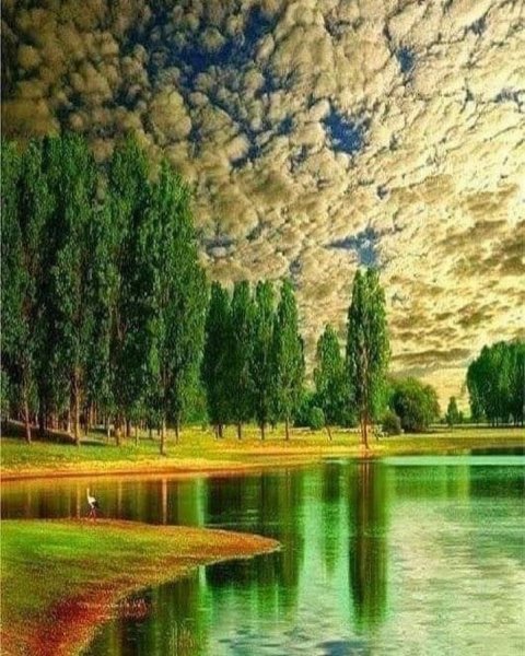 19-39-56-199649495 4221000634611314 8022158305386280879 n