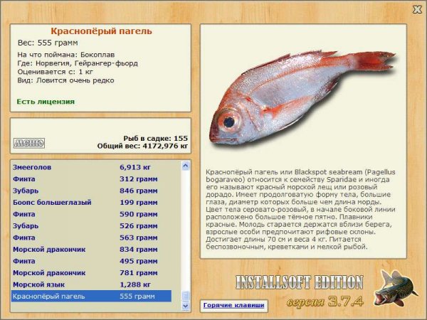Краснопёрый пагель