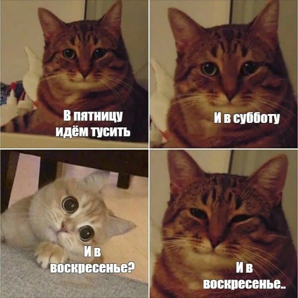 И в воскресенье