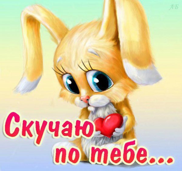 Х6.wPRT3Dco8