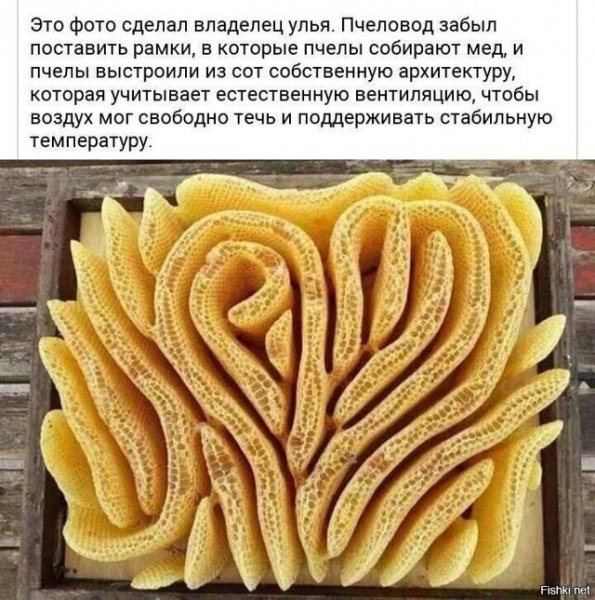 )