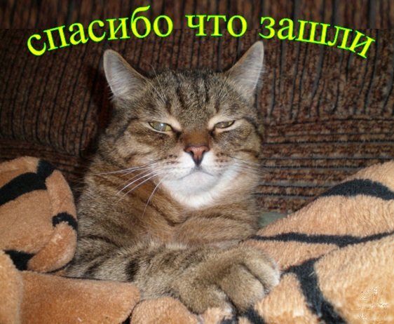 Привет!!!