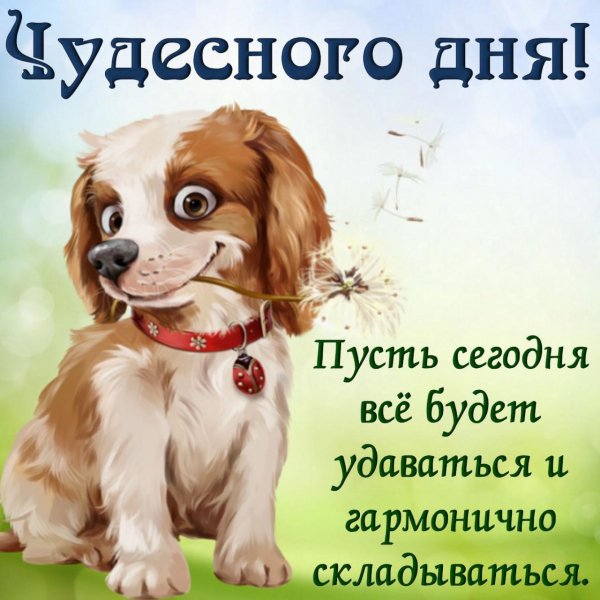 IMG-20210605-WA0042