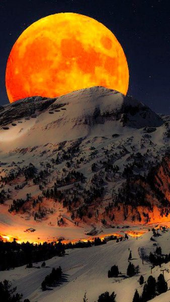 Природа