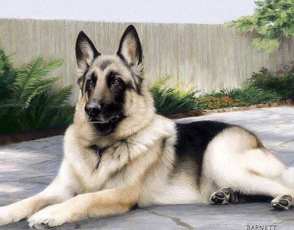 getImage(168)