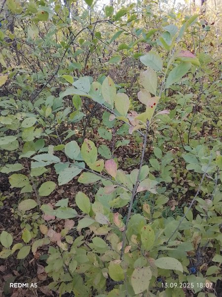 picture_396437639