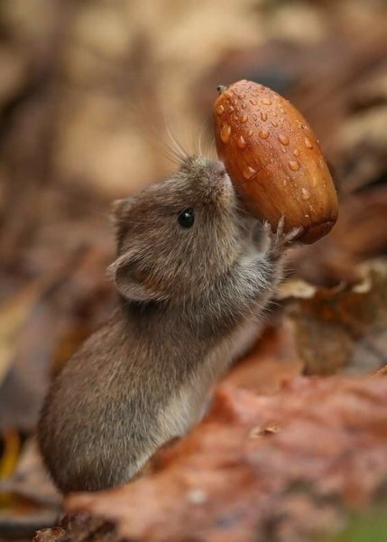 dc286b0bd22cf6c16f52116