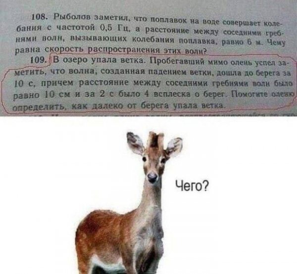 Samye-smeshnye-memy-iz-interneta-prikoly-v-kartinkah-16