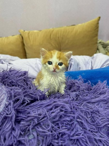 -5413599130791569924 121