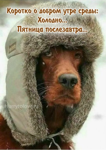 Так! ))