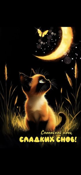 6c33c4cf17ed46468db68648ab14c2ac