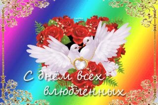 IMG-20170214-WA0004