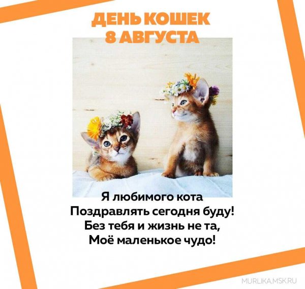 Мое маленькое чудо!