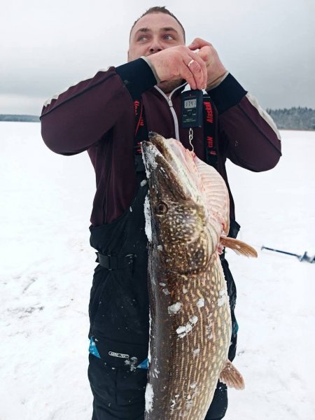 Крупная щука