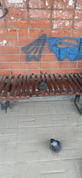 А скоро автобус приедет?