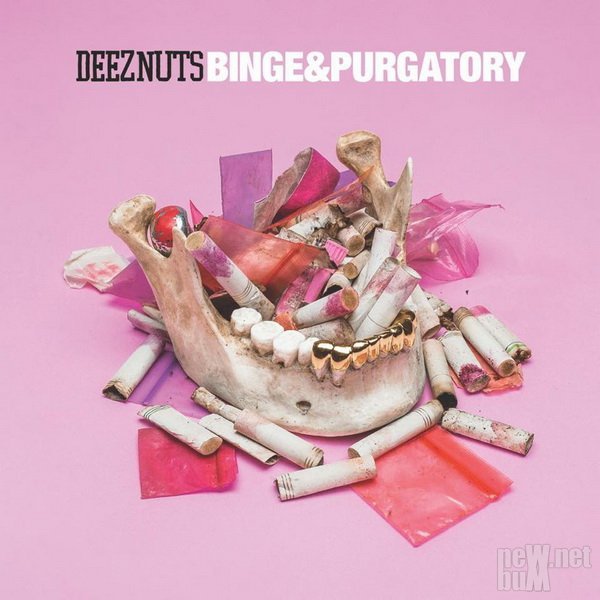 deez-nuts-binge-purgatory-2017