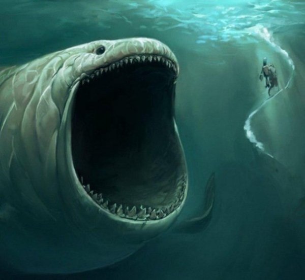 image (3) - 2020-09-20T022648.095