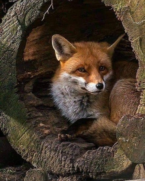 11-31-39-197100530 213977880408166 8370472915511265192 n