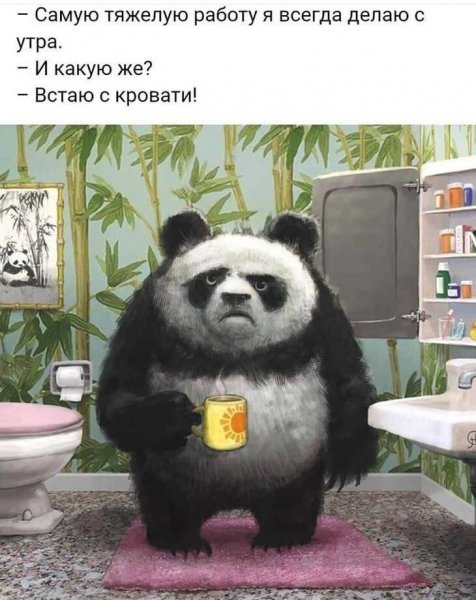 IMG 20250321 090551 823